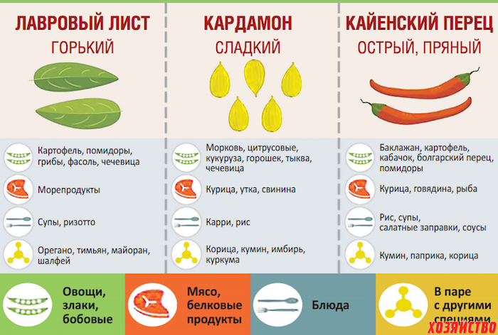 20 основных приемов для самых ароматных: руководство по специям для знатоков кулинарии