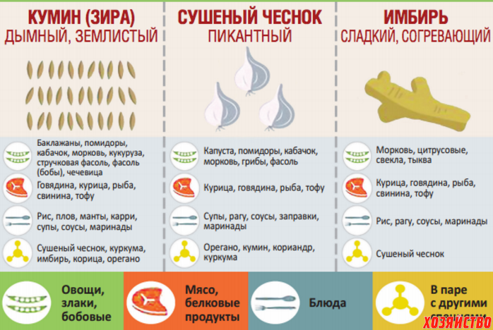 20 основных приемов для самых ароматных: руководство по специям для знатоков кулинарии
