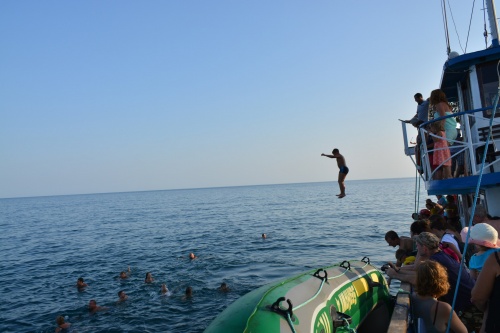 Плавать в открытом море