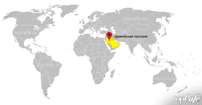 Аравийская пустыня
