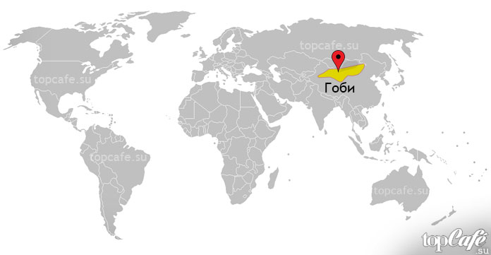 Гоби
