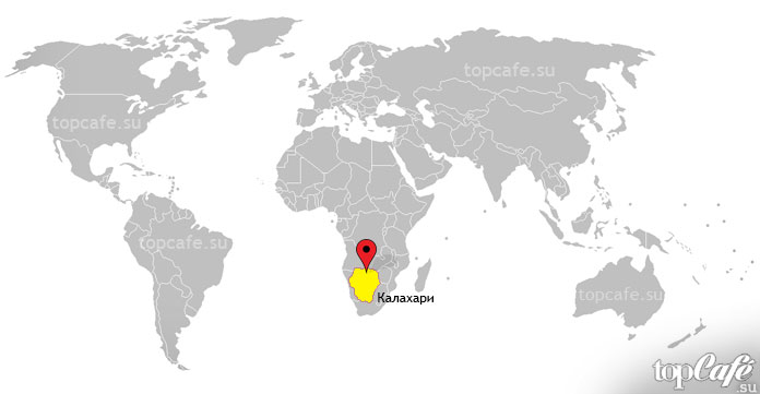 Калахари