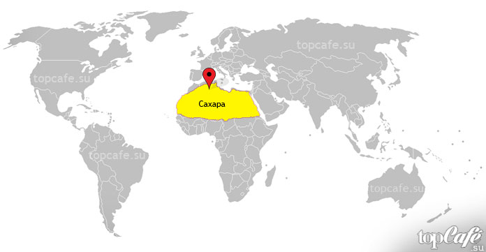 Сахара