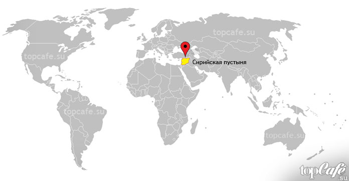 Сирийская пустыня