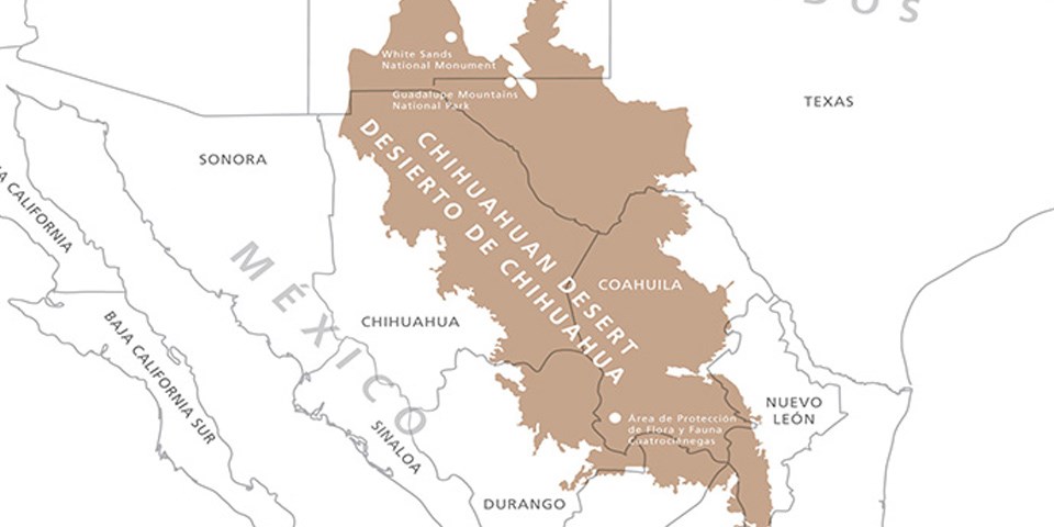 Америка
