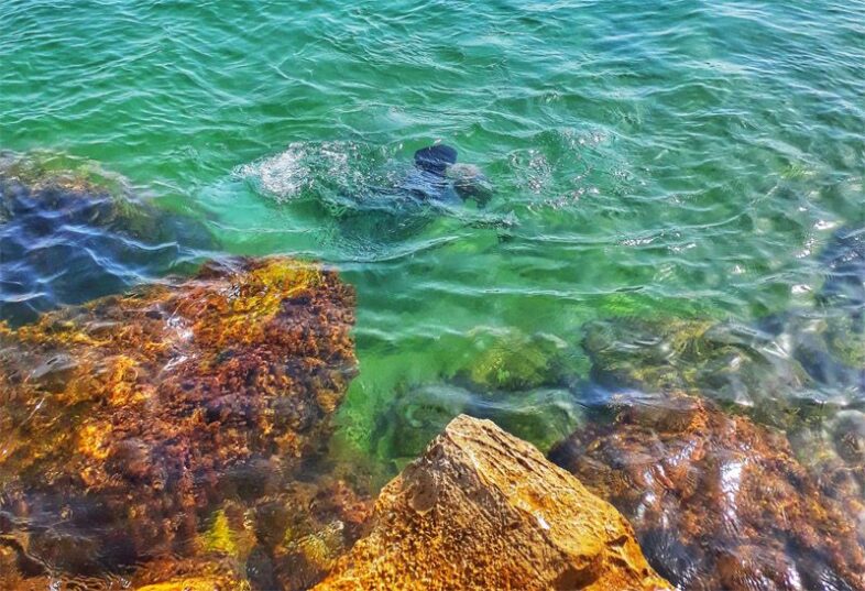 Море в Сузах